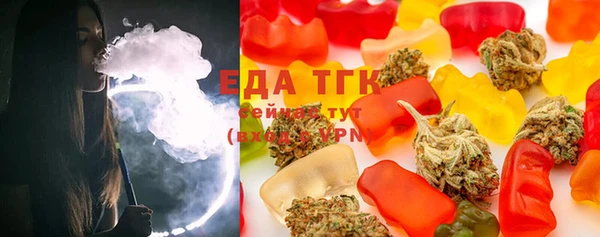 хмурый Алзамай