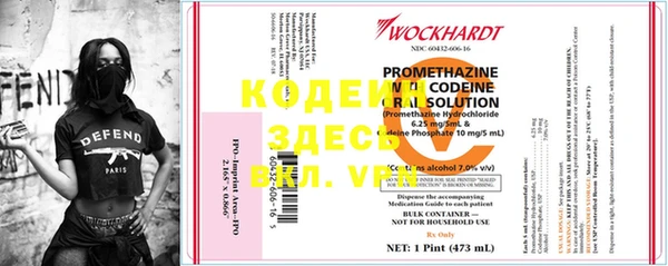 хмурый Алзамай