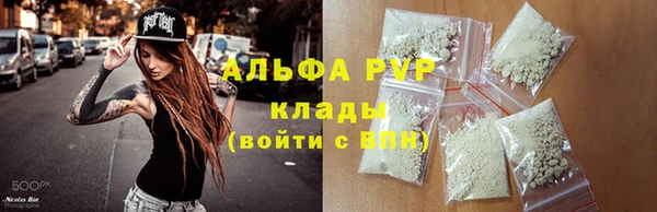 хмурый Алзамай