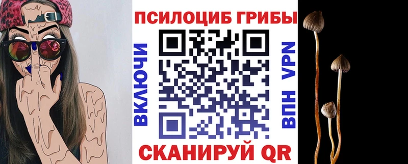 Псилоцибиновые грибы мицелий  mega маркетплейс  Ливны 